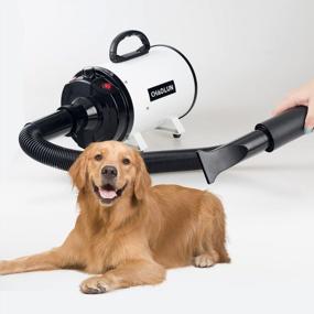 img 2 attached to High Velocity Dog Dryer With Heater And Stepless Speed Adjustment: Professional Pet Grooming Dryer With Multiple Attachments