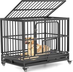 img 4 attached to 🐾 Premium 38-Inch Heavy Duty Dog Crate - Ideal Dog Kennel for Small, Medium, and Large Dogs - Sturdy Metal Escape Proof Dog Cage - Includes Removable Tray & Lockable Wheels