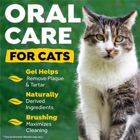 img 2 attached to TropiClean Oral Care Kit For Cats, 2Oz - Fresh Breath Solution