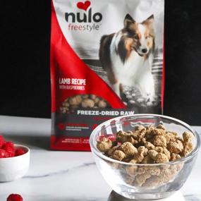 img 2 attached to Nulo Freeze-Dried Raw Dog Food: A Nutritious And Probiotic-Packed Meal For All Breeds And Ages - 5 Oz Lamb Recipe With Raspberries