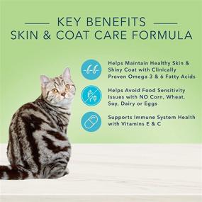 img 2 attached to 🐱 Blue Buffalo True Solutions Perfect Coat: all-natural skin & coat care food for adult cats, available in dry and wet formulas