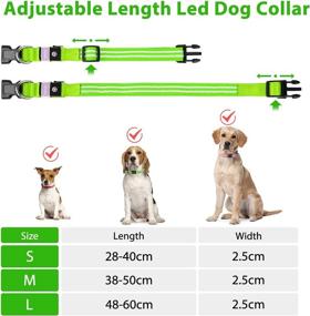 img 3 attached to 🐶 100% Waterproof LED Dog Collar - Rechargeable, Flashing Light-Up Collar for Pets. Adjustable, Increased Visibility & Super Bright for Small, Medium, and Large Dogs - PCeOTllar