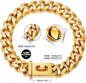 img 3 attached to Lifetime Gold Dog Chain Collar - Chew Proof 18K Cuban Link Metal Collar with Design Secure Buckle - Strong and Heavy Duty for Dogs, Perfect for Walking