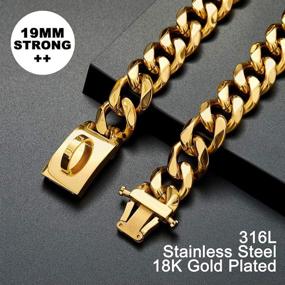 img 1 attached to Lifetime Gold Dog Chain Collar - Chew Proof 18K Cuban Link Metal Collar with Design Secure Buckle - Strong and Heavy Duty for Dogs, Perfect for Walking