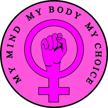 womens pro choice bumper sticker auto mobile equality logo