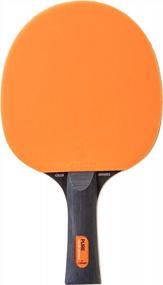 img 1 attached to Beginners: Get Ready To Play With The STIGA Pure Color Advance 2-Player Table Tennis Set!