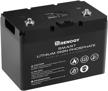 renogy 12v 100ah lithium lifepo4 deep cycle battery with built-in bms and over 4000 cycles - ideal for rv, marine, and off-grid systems with maintenance-free operation and fcc/ul certifications logo