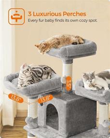 img 1 attached to 🐱 FEANDREA 67-Inch Multi-Level Cat Tree: Perfect for Large Cats, Cozy Perches, Stable & Light Gray UPCT18W