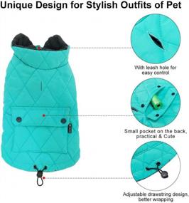 img 2 attached to Warm And Stylish Cotton Winter Coat For Small Dogs - Windproof Pet Clothing Perfect For Cold Weather Walking, Hiking, And Travel - Cozy Puppy Jacket In Cute Lake Blue - Size XL