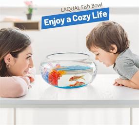 img 3 attached to 🐠 LAQUAL 2 Gallon Glass Fish Bowl with Decor, Fluorescent Stones &amp; Colorful Plastic Trees, High Clarity Glass for Clear View, Small Fish Bowl/Vase/Aquarium for Betta Fish/Goldfish, Beautiful Home Décor