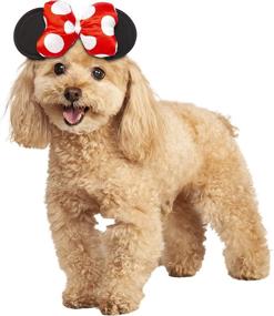 img 4 attached to Rubies Disney Friends Costume Accessory Dogs