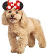 rubies disney friends costume accessory dogs logo