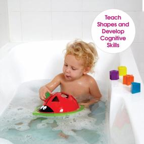 img 2 attached to Edushape Ladybug Sorter Bath Toy With 6 Matching Shapes - Montessori Early Child Development Learning Toy - Teach Cause And Effect, Reasoning, And Cognitive Skills - Fit For Infants, Babies, Toddlers