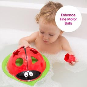 img 1 attached to Игрушка для ванной Edushape Ladybug Sorter с 6 соответствующими формами - Обучающая игрушка для раннего развития детей Монтессори - Учит причинам и следствиям, рассуждениям и когнитивным навыкам - Подходит для младенцев, младенцев, малышей