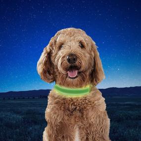 img 2 attached to 🐶 Nite Ize NiteDog Rechargeable LED Collar with USB Charging, Light Up Dog Collar featuring Metal Buckle