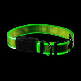 img 1 attached to 🐶 Nite Ize NiteDog Rechargeable LED Collar with USB Charging, Light Up Dog Collar featuring Metal Buckle