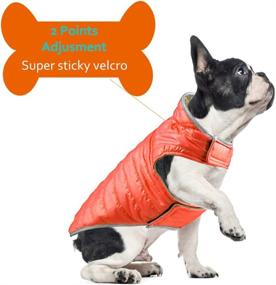 img 2 attached to 🐾 ACKERPET Reversible Dog Winter Jacket: Waterproof, Reflective & Warm Cold Weather Pet Vest for Small, Medium, and Large Dogs