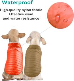 img 3 attached to 🐾 ACKERPET Reversible Dog Winter Jacket: Waterproof, Reflective & Warm Cold Weather Pet Vest for Small, Medium, and Large Dogs