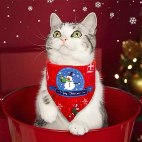 img 3 attached to Подарочный набор из 12 рождественских игрушек для кошек - AWOOF Pet Toys For Kitten + Bandana!