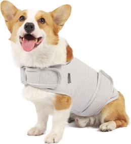 img 4 attached to Apetian Anxiety Vest for Dogs – Thunder Jacket Calming Shirt – Dog Compression Vest for Anxiety – Calming Wrap