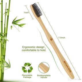 img 3 attached to Eco-Friendly Biodegradable Toothbrushes: Biykog - The Ultimate Oral Care Solution