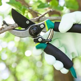 img 3 attached to LDK Professional Sharp Bypass Pruning Shears: Tree Trimmers Secateurs For Gardening & Landscaping