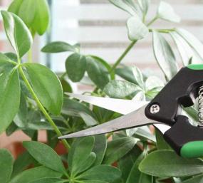 img 2 attached to LDK Professional Sharp Bypass Pruning Shears: Tree Trimmers Secateurs For Gardening & Landscaping