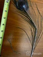 img 1 attached to 20Pcs Natural Peacock Feathers 10-12In - Great For Christmas, Halloween, Home Decor & Weddings! review by Brian Thao