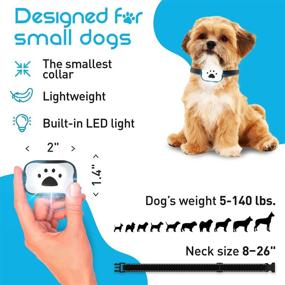 img 3 attached to 🐶 Waterproof Remote Dog Training Collar with LED Light - Ideal for Small Dogs 5-15lbs - 1000 Feet Range