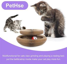 img 3 attached to 🐱 PetHse Magic Organ - Interactive Scratch Pad & Toy Bell Ball for Cats