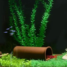 img 3 attached to 🐠 Saim Betta Fish Shrimp Cave Aquarium Ceramic Cone: Premium Spawning Breeding Shelter & Tank Decorations – Larger Size
