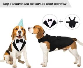 img 3 attached to Kuoser Dog Tuxedo Wedding Suit and Bandana Set, Formal Attire for Large and Medium Dogs - Golden Retrievers, Samoyeds, Bulldogs