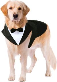 img 4 attached to Kuoser Dog Tuxedo Wedding Suit and Bandana Set, Formal Attire for Large and Medium Dogs - Golden Retrievers, Samoyeds, Bulldogs