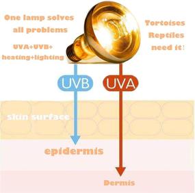 img 2 attached to 🔥 EBENACEAE BR40 Warm Lamp Heater E26 - Ideal Chicken Coop Heater for Poultry, Livestock, Household Planting, and Animal Husbandry