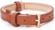 🐾 blu&amp;ben genuine leather dog collars - soft padded leather collar, stylish &amp; breathable - suitable for small, medium, and large dogs logo