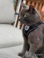 img 1 attached to Adjustable Escape Proof Cat Harness And Leash Set By PUPTECK - Breathable Soft Mesh Vest For Small And Medium Kittens, Ideal For Outdoors With Reflective Strips review by Sparkle Ross