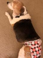 img 1 attached to Cos2Be Female Dogs Diapers Washable Reusable Wraps,Soft & Comfortable Diapers For Small To Middle Dog-Pack Of 3(XS) review by Aaron Guy