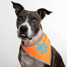 img 3 attached to SafetyPUP XD Reflective Bandana - High Visibility Blaze Orange Dog Bandana Collar for Large and Small Pets. Ideal Dog Accessories for Walking, Camping, and Off-Leash Exploration.