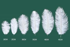 img 2 attached to 10Pcs Of White Real Ostrich Feathers (14-16 Inches/35-40Cm) Ideal For Christmas, Halloween, Home Decor, Parties, And Wedding Centerpieces - Bulk Decorations For Enhanced Appeal