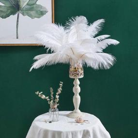 img 4 attached to 10Pcs Of White Real Ostrich Feathers (14-16 Inches/35-40Cm) Ideal For Christmas, Halloween, Home Decor, Parties, And Wedding Centerpieces - Bulk Decorations For Enhanced Appeal