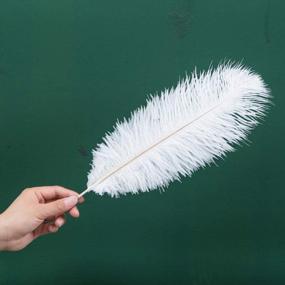 img 3 attached to 10Pcs Of White Real Ostrich Feathers (14-16 Inches/35-40Cm) Ideal For Christmas, Halloween, Home Decor, Parties, And Wedding Centerpieces - Bulk Decorations For Enhanced Appeal