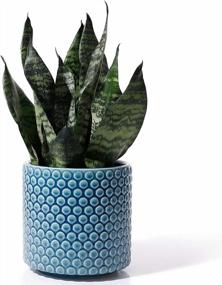 img 4 attached to 6 Inch Ceramic Planters Pots With Drainage Hole For Indoor Plants, Succulent Cactus - POTEY 054304 Vintage Style Polka Dot Patterned Bonsai Container (Plants NOT Included)