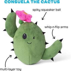 img 3 attached to Enhance Your Dog'S Playtime With Barkbox'S Squeaky 2-In-1 Puzzle Plush Toy - Consuela The Cactus