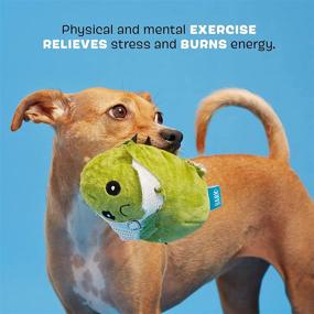 img 2 attached to Enhance Your Dog'S Playtime With Barkbox'S Squeaky 2-In-1 Puzzle Plush Toy - Consuela The Cactus