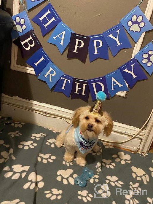 img 1 attached to Make Your Dog'S Birthday Special With GAGILAND Birthday Party Set - Dog Bandana, Hat, Banner & More In Pink With Balloon! review by Jonathan Sriubas