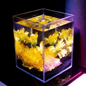 img 2 attached to BettaBlossom Hibiscus Flower Beautiful Comfortable