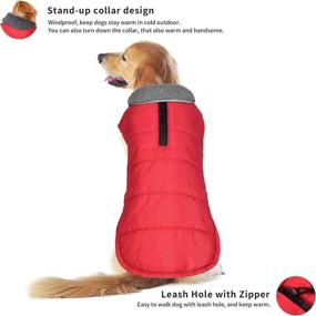 img 3 attached to 🎅 Christmas Dog Winter Coat: Waterproof, Windproof, and Warm Pet Sweater for Small to Extra Large Dogs - Red, Size L