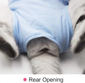 img 1 attached to Кошачий пижамный костюм для восстановления после хирургического вмешательства - альтернатива конусу Е-образного воротника для лечения брюшной раны дома.
