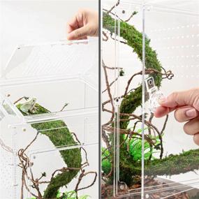 img 1 attached to 🦎 REPTI ZOO 12x12x18 Inch Two-Way Acrylic Reptile & Insect Enclosure - Detachable Breeding Box for Reptiles - Habitat Terrariums Cage