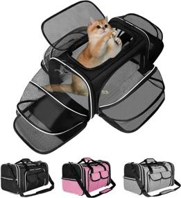 img 4 attached to 🐱 Estarer Airline Approved Soft Sided Pet Carrier - 4 Sides Expandable Collapsible Cat Carrier with Pockets, Removable Fleece Pad - Travel Carrier Bag for Cats, Dogs, and Small Animals